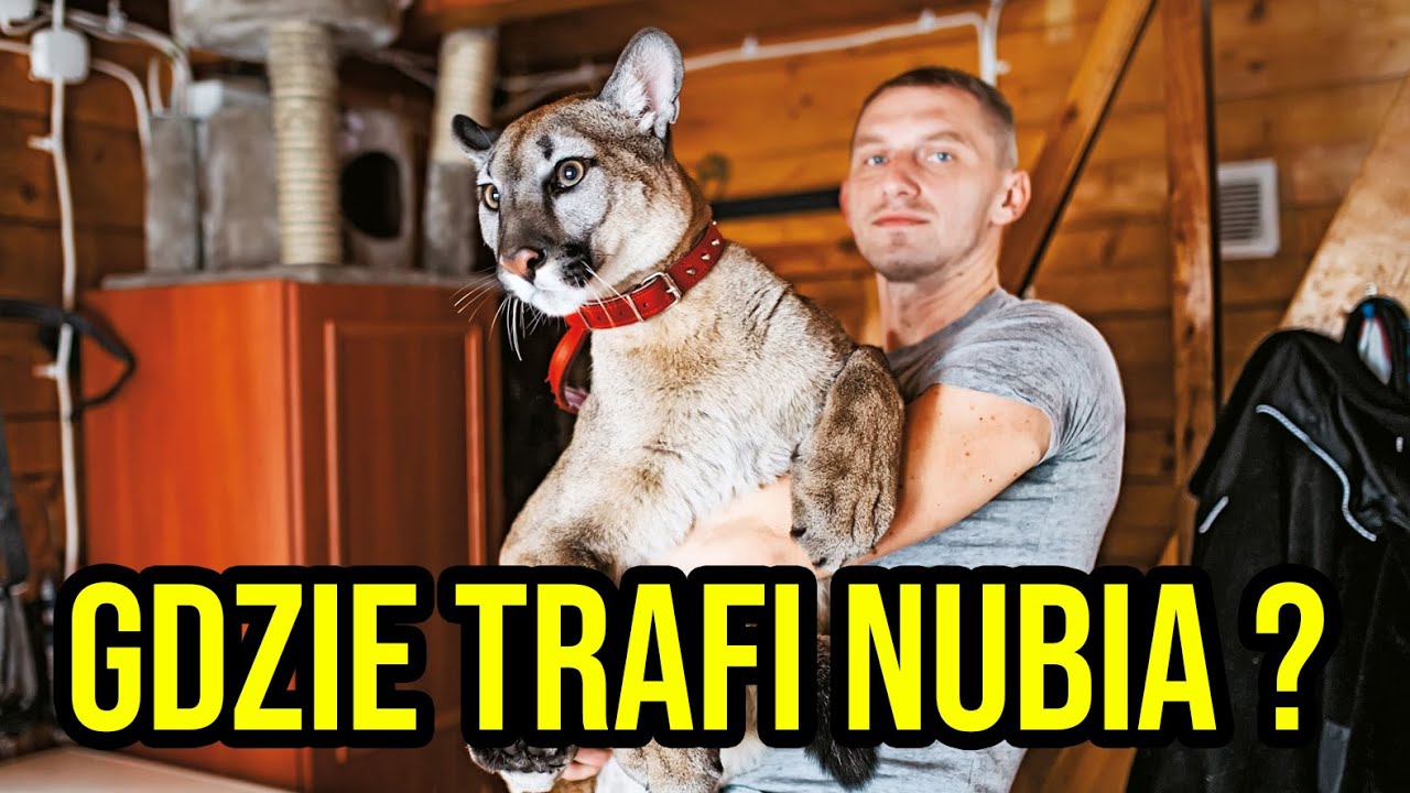 CO STANIE SIĘ Z NUBIĄ ?