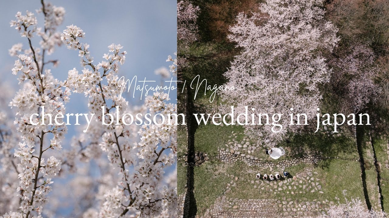 Luxury Cherry Blossom Micro Wedding in Nagano | 37 Frames Wedding Highlight Film