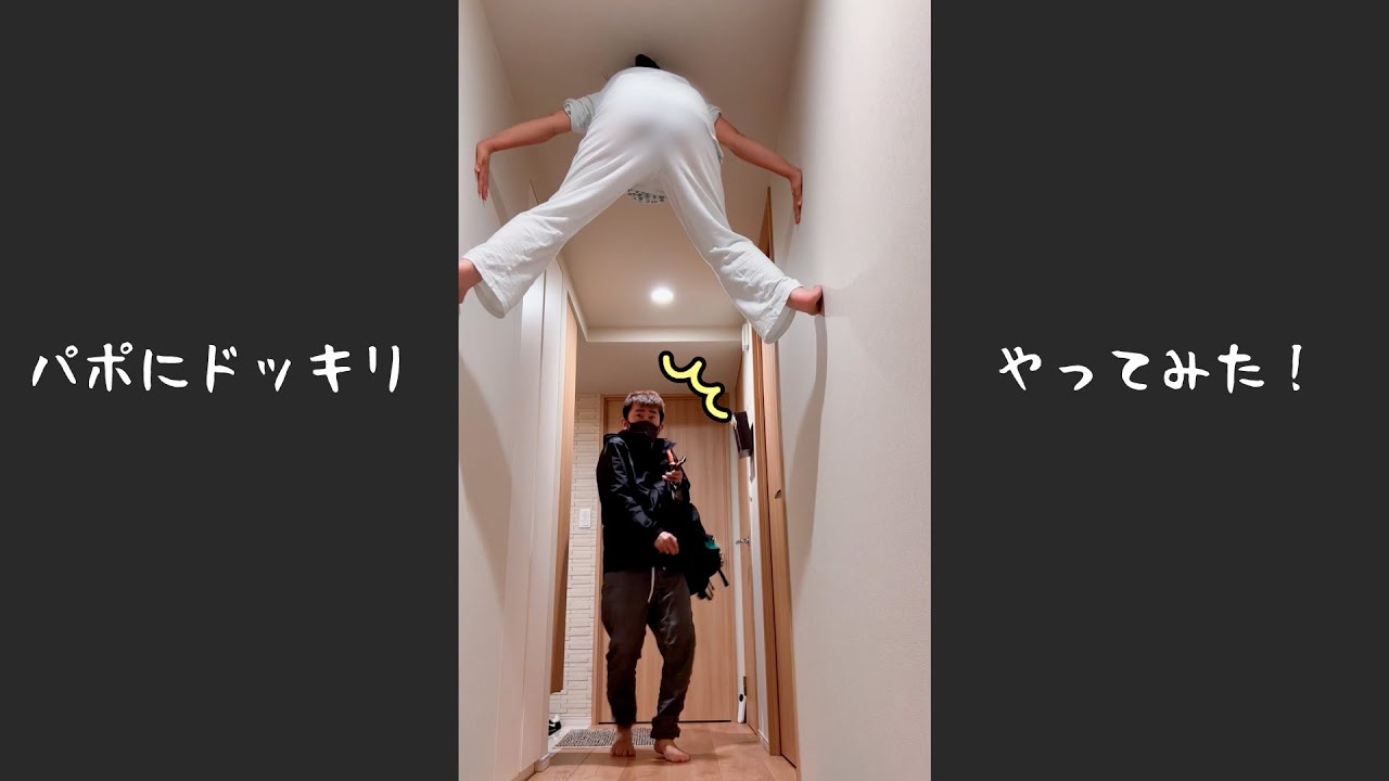 【パポにドッキリ】玄関あけたら天井にあちゃぴ！#Shorts