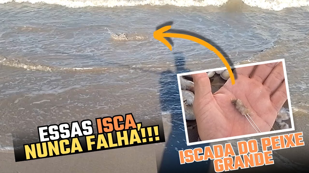S&Oacute; PEIXE GRANDE, O BRUTO N&Atilde;O RESISTIU A ISCADA. PESCA DE PRAIA COM MUITAS DICAS. PESCA