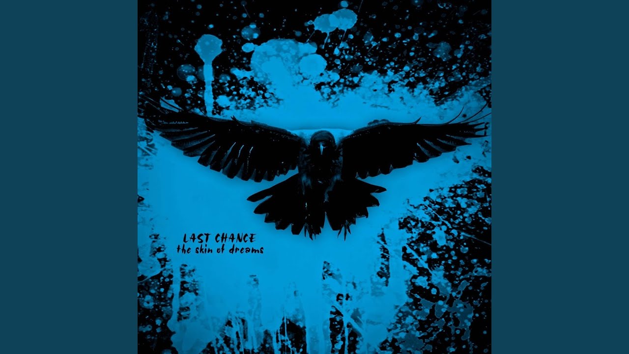 The Skin of Dreams (Fading Soul Remix)