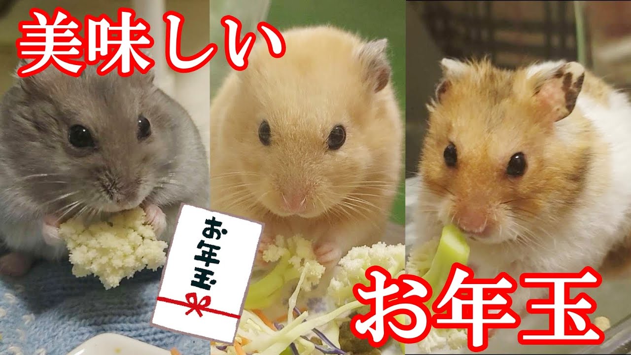 【2026】新年あけましておめでとうございます