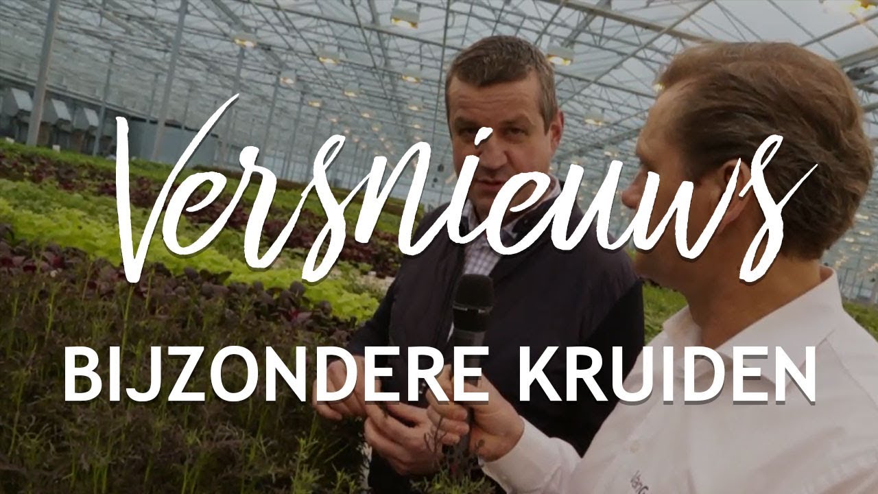 Versnieuws - Bijzondere kruiden in pot voor de horeca