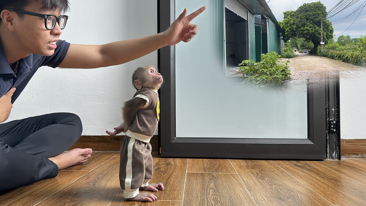 Папа везет Лалу посетить старый дом, полный воспоминаний!