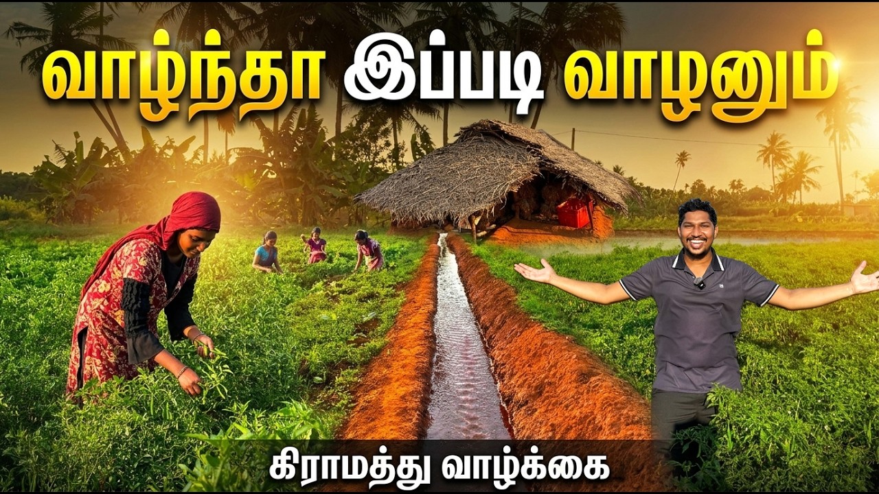 🔴சொர்க்கம் தான்🥰 | இந்த வாழ்க்கை போதும்🏡 |  Jaffna Village Life | Sri Lanka