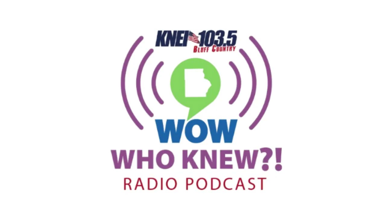 GEORGIA JONES FROM THE FIREFLIES GRANNY BASKETBALL IS VAL'S GUEST FOR WOW! WHO KNEW?