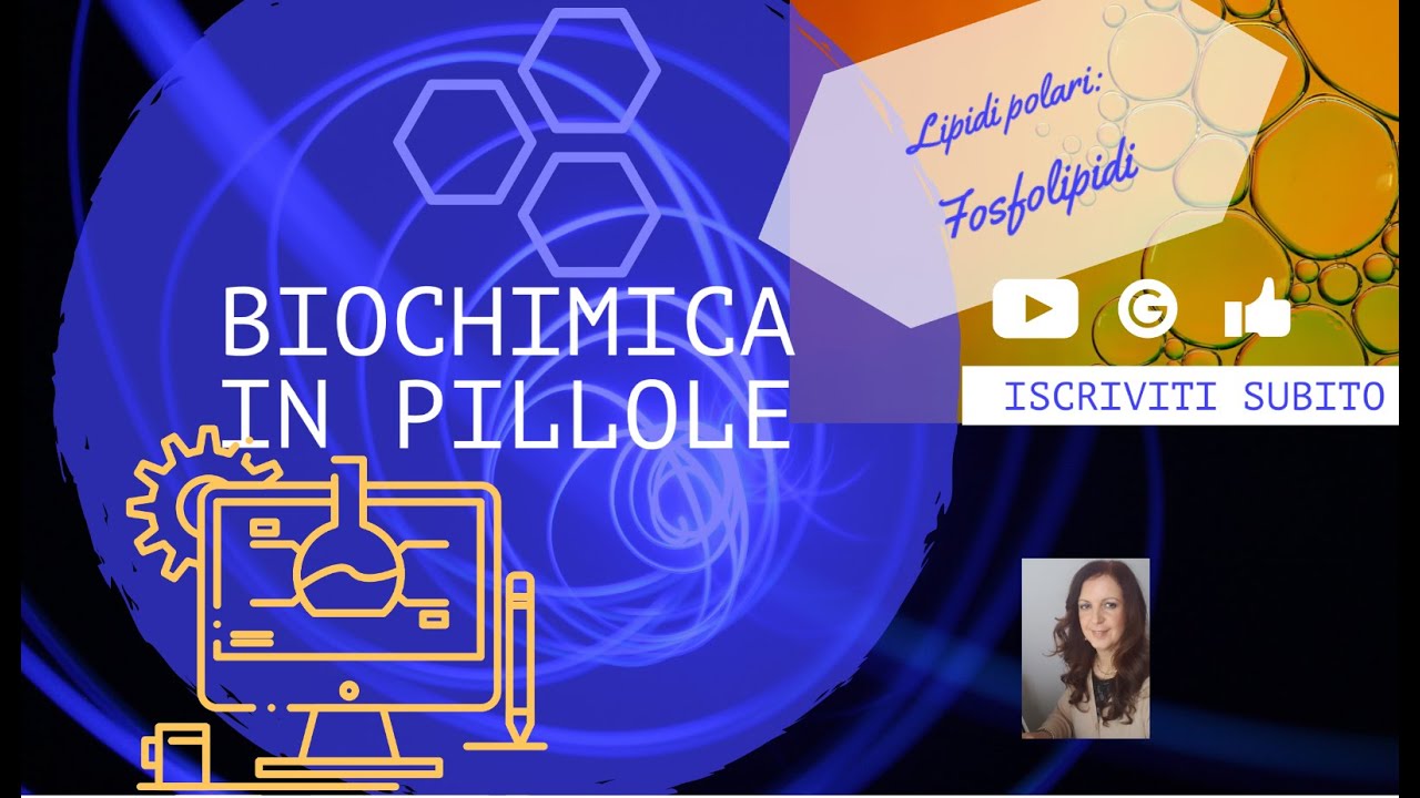 Lipidi (parte 4): fosfolipidi e sfingolipidi