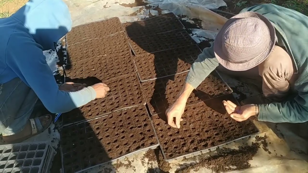 اللي بغا يدير الفلاحة بيو طبيعية المرحلة اللولة هي هذه