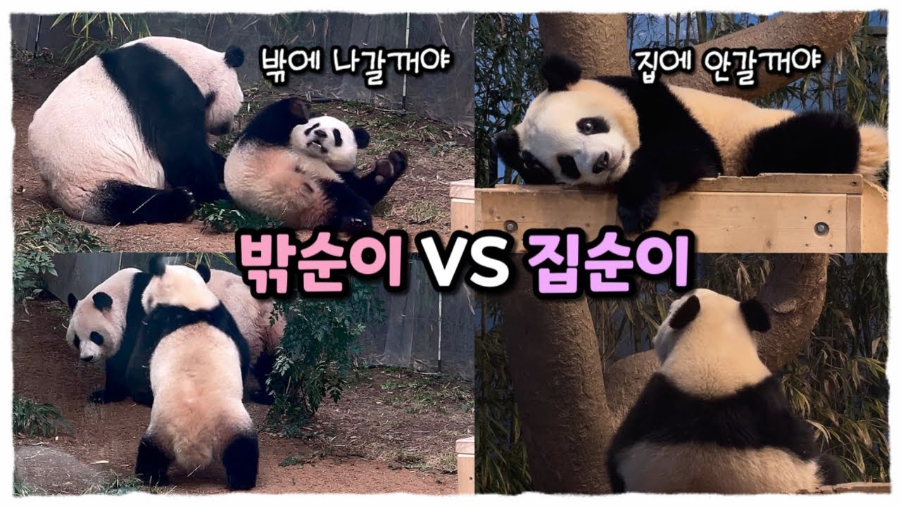 오후만 되면 시작되는 밖순이의 극성과 집에 안가겠다는 집순이 with 러아부부의 야외데이뚜