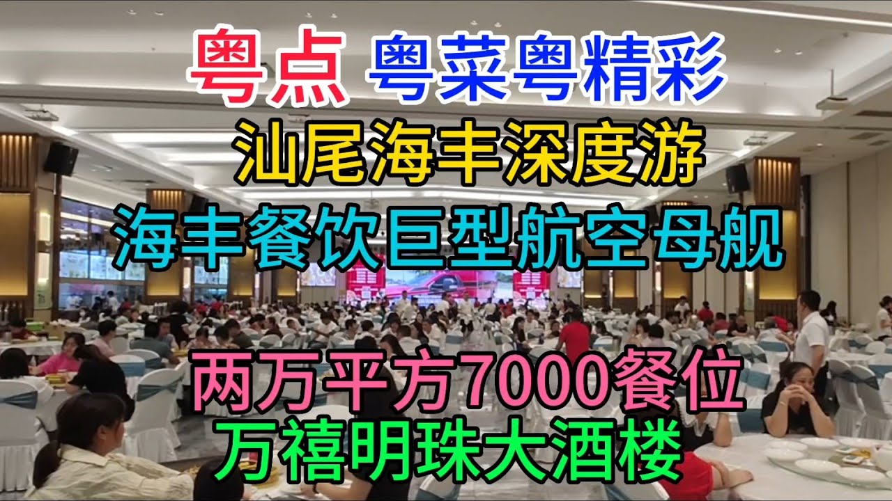 粤点粤菜粤精彩，汕尾海丰深度游，海丰餐饮巨型航空母舰，两万平方米7000餐位，万禧明珠大酒楼，粤语中字幕2023-7-20
