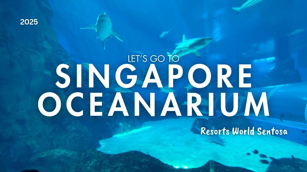 Singapore Oceanarium | Marine Life, Sharks & Family Fun!