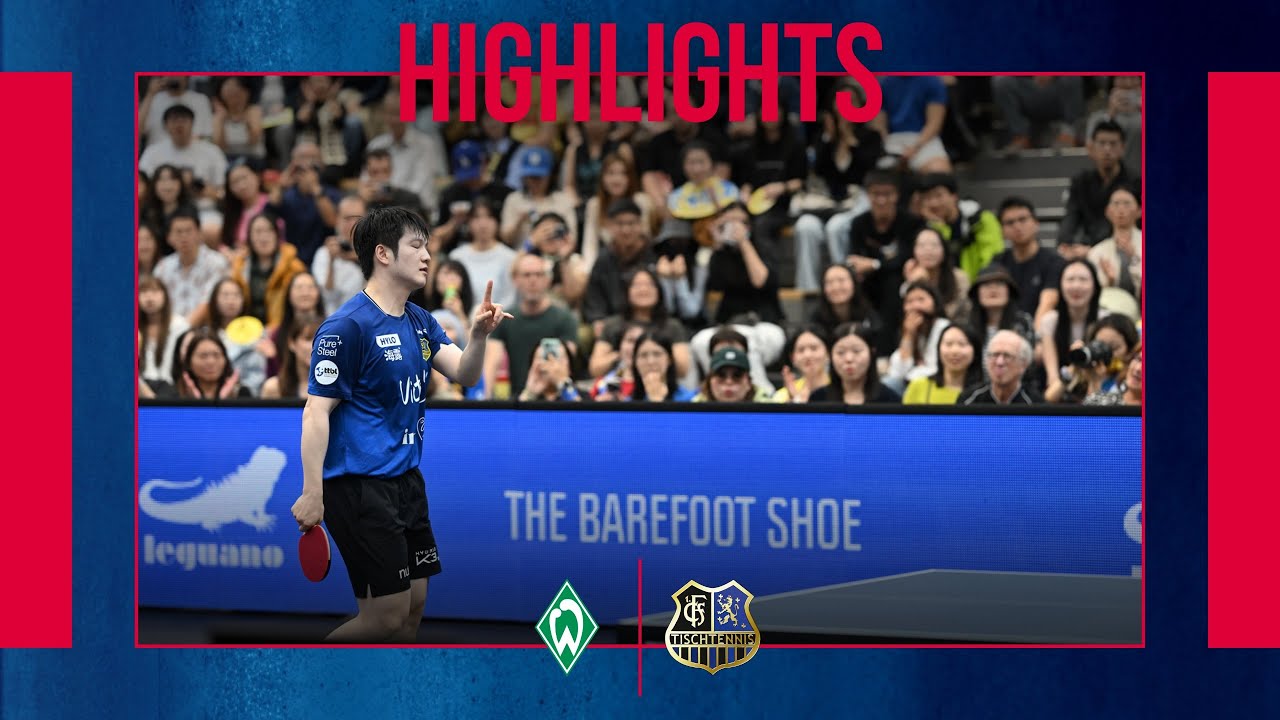 Highlights: Mattias Falck - Fan Zhendong