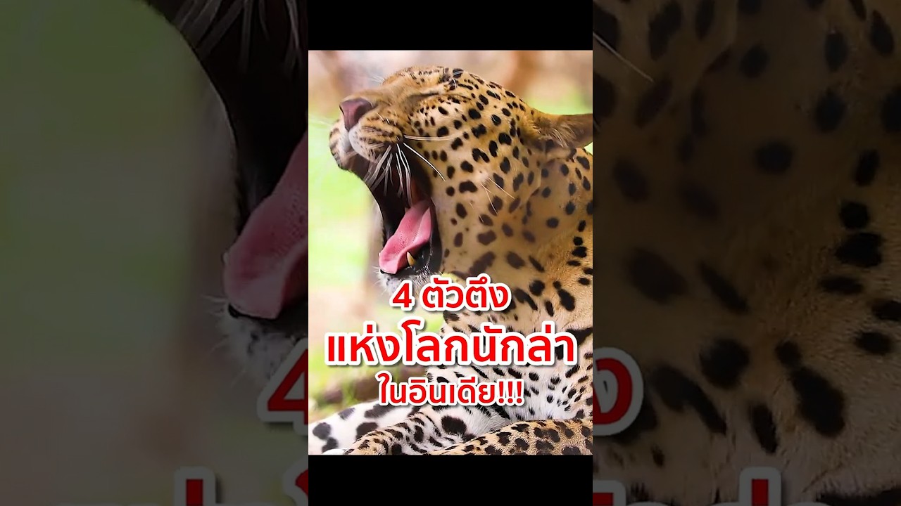 4 ตัวตึงแห่ง "โลกนักล่า" ในอินเดีย!! 