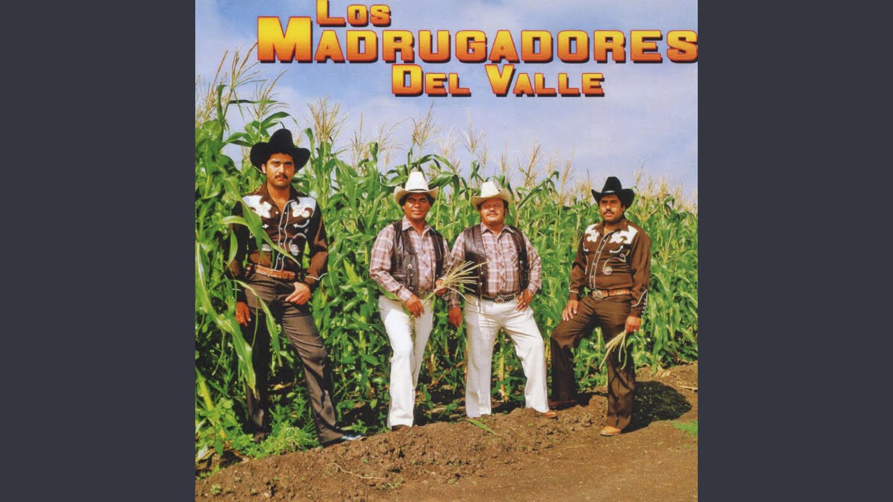 No Vuelvo a Amar
