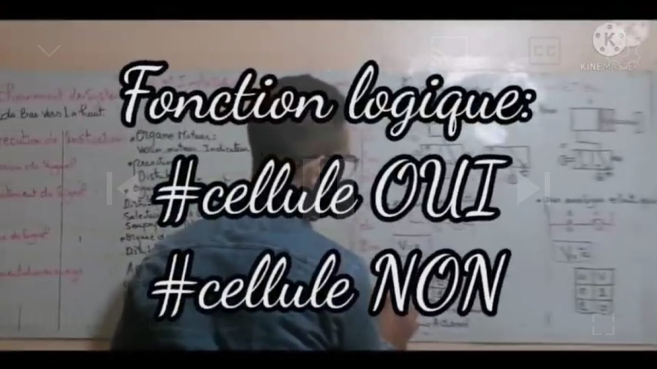 13. #pneumatique : #fonction logigue #cellule OUI #cellule NON #ESA