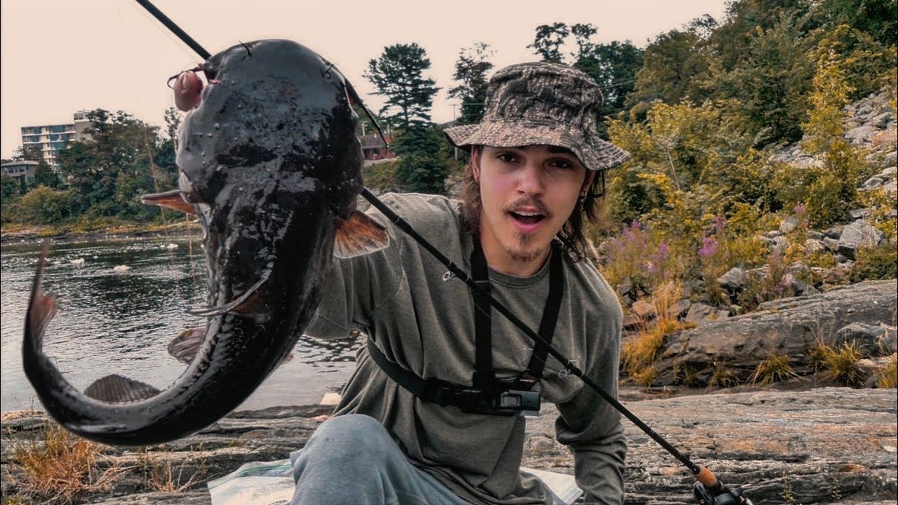 Catching Massive BullHead Catfish! (Maine Catfishing)
