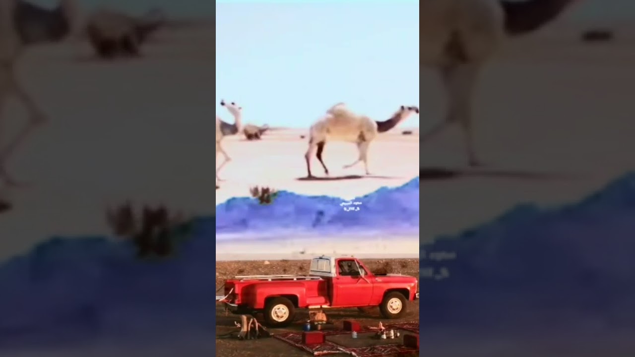 شيله يامنزل مع القران سبع المثاني