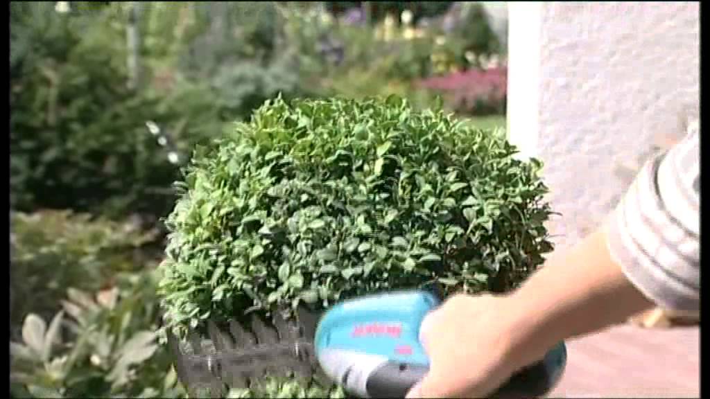 Bosch Isio cordless grass shear