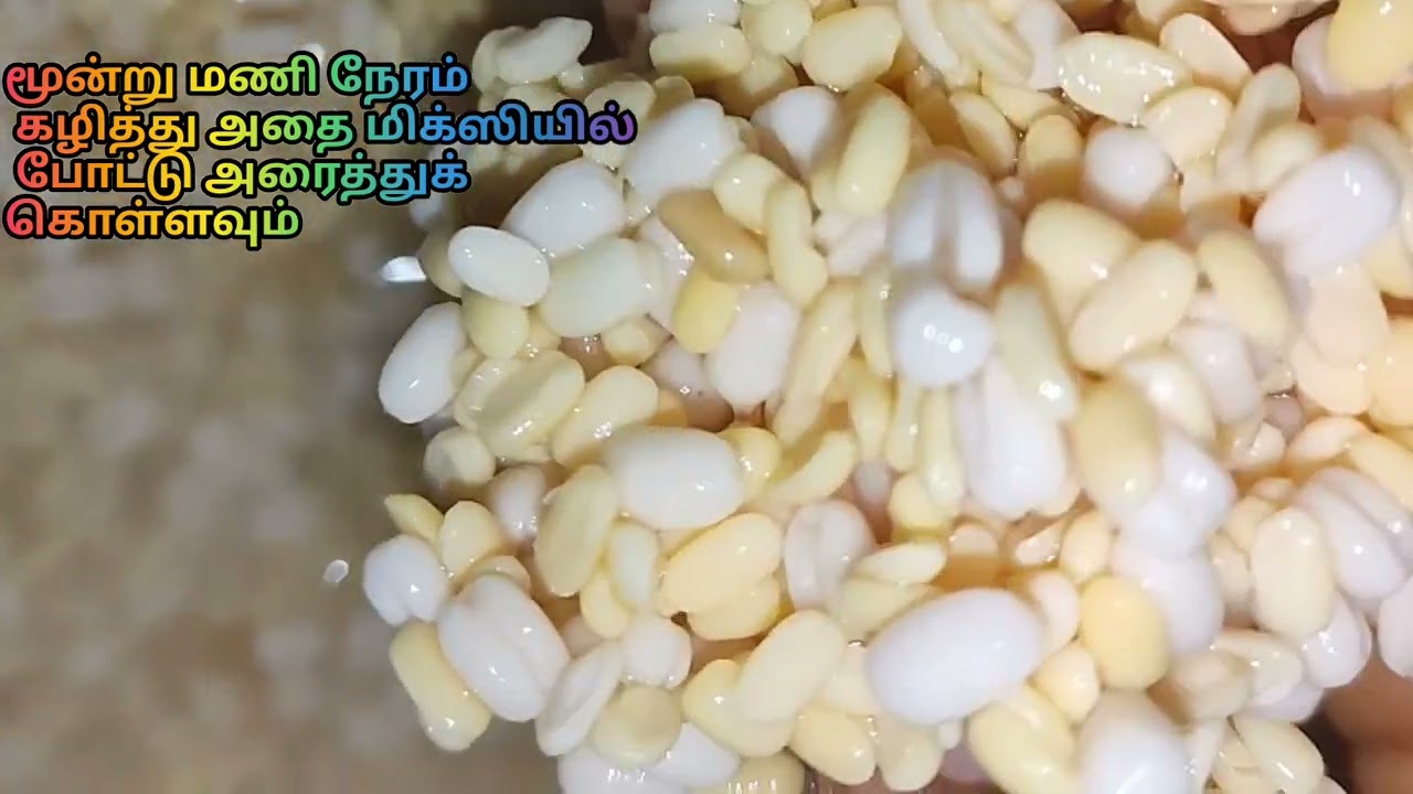 Today Recipe 🍜 அதிக புரோட்டின் நிறைந்த சிறுபருப்பு இட்லி 🍜அரிசி சேற்காமல் இட்லி ரெடி பண்ணலாம் வாங்கோ