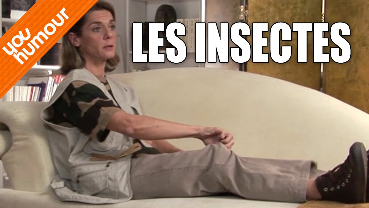 Victoire chez le psy : Les insectes