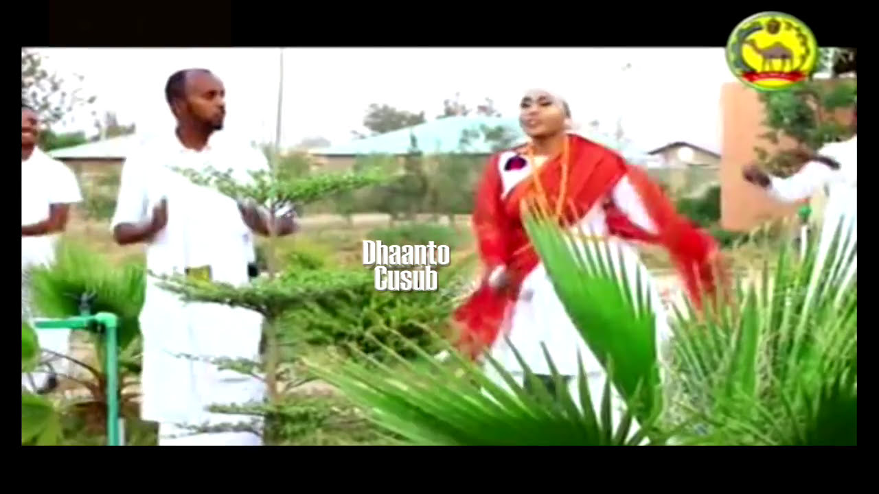 *Dhaanto Cusub | Dhaqankeena Weyee | Kaltuun Bacado &      | 2017