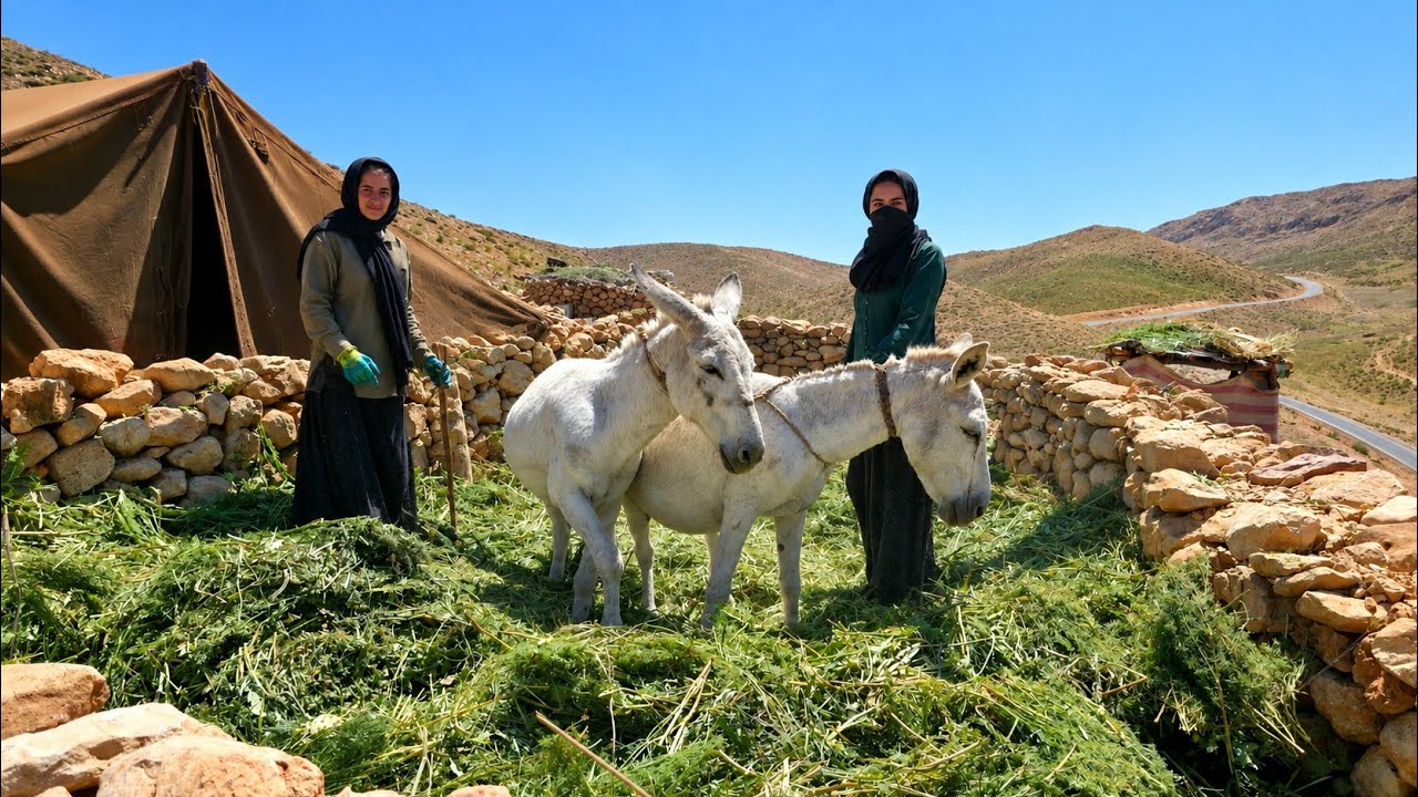 Nomadic Migration Begins in Iran | Traditional Skills & Packing Up Our Mountain Shelter