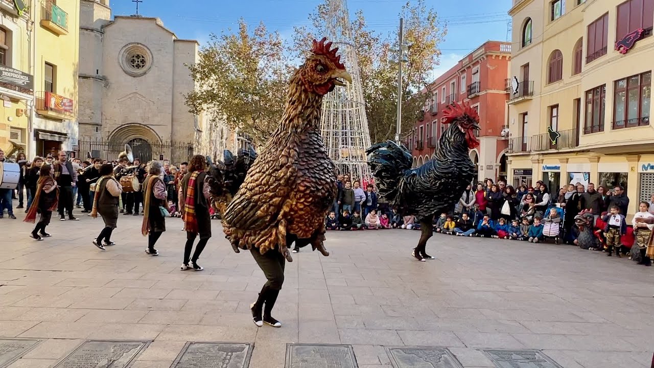 BALLS del Gall TOMASOT i Gallina BALLARICA (25è aniversari de la Mostra de Bestiari Festiu de Ploma)
