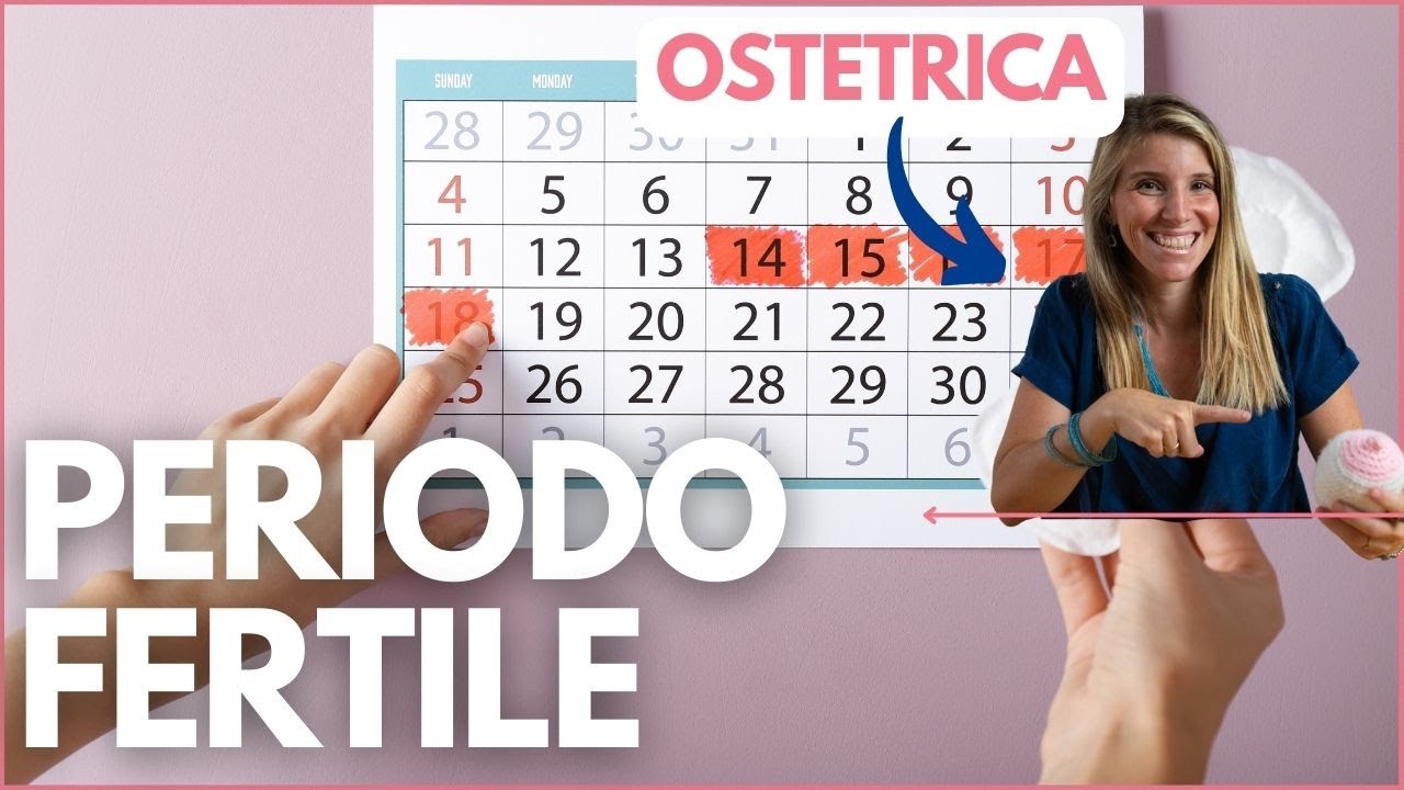 PERIODO FERTILE: Cos'è e come si CALCOLA