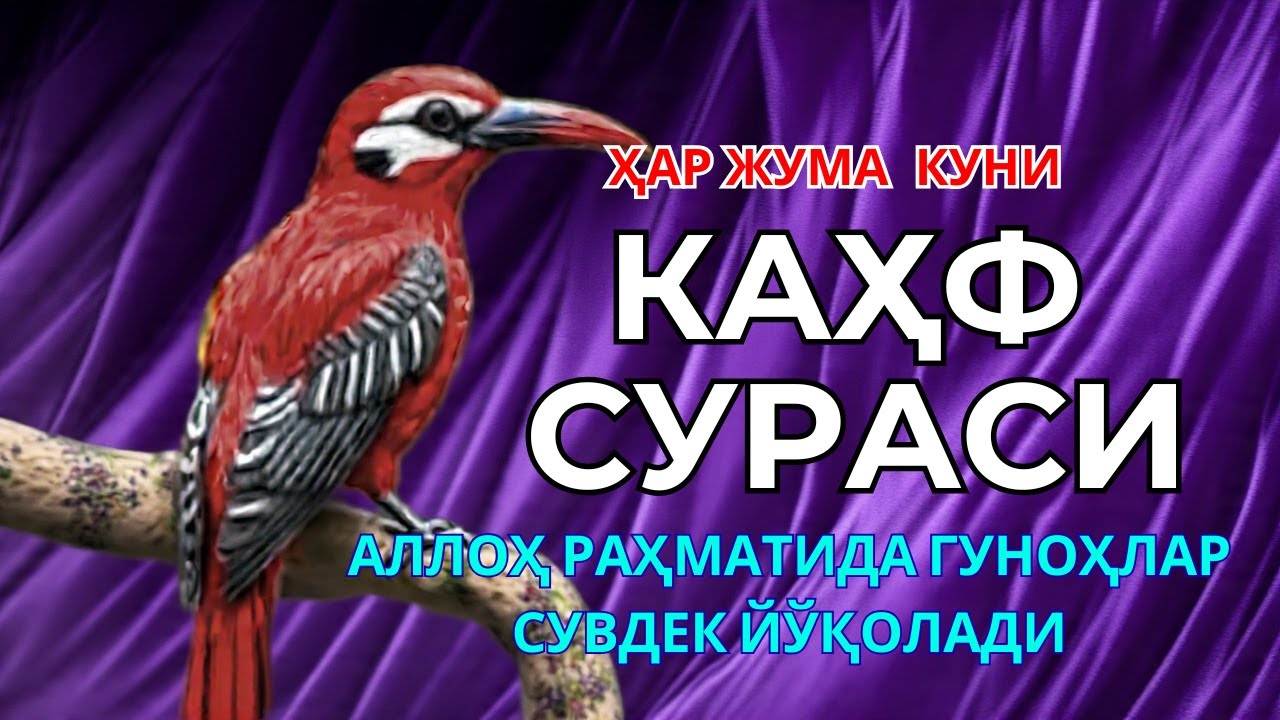 КАҲФ СУРАСИ -ЖУМА КУНИНИНГ ДАҲШАТЛИ ҚУДРАТИ!KAHF SURASI, ЖУМА КУНИДА БАРАКАГА ТЎЛА ДУО