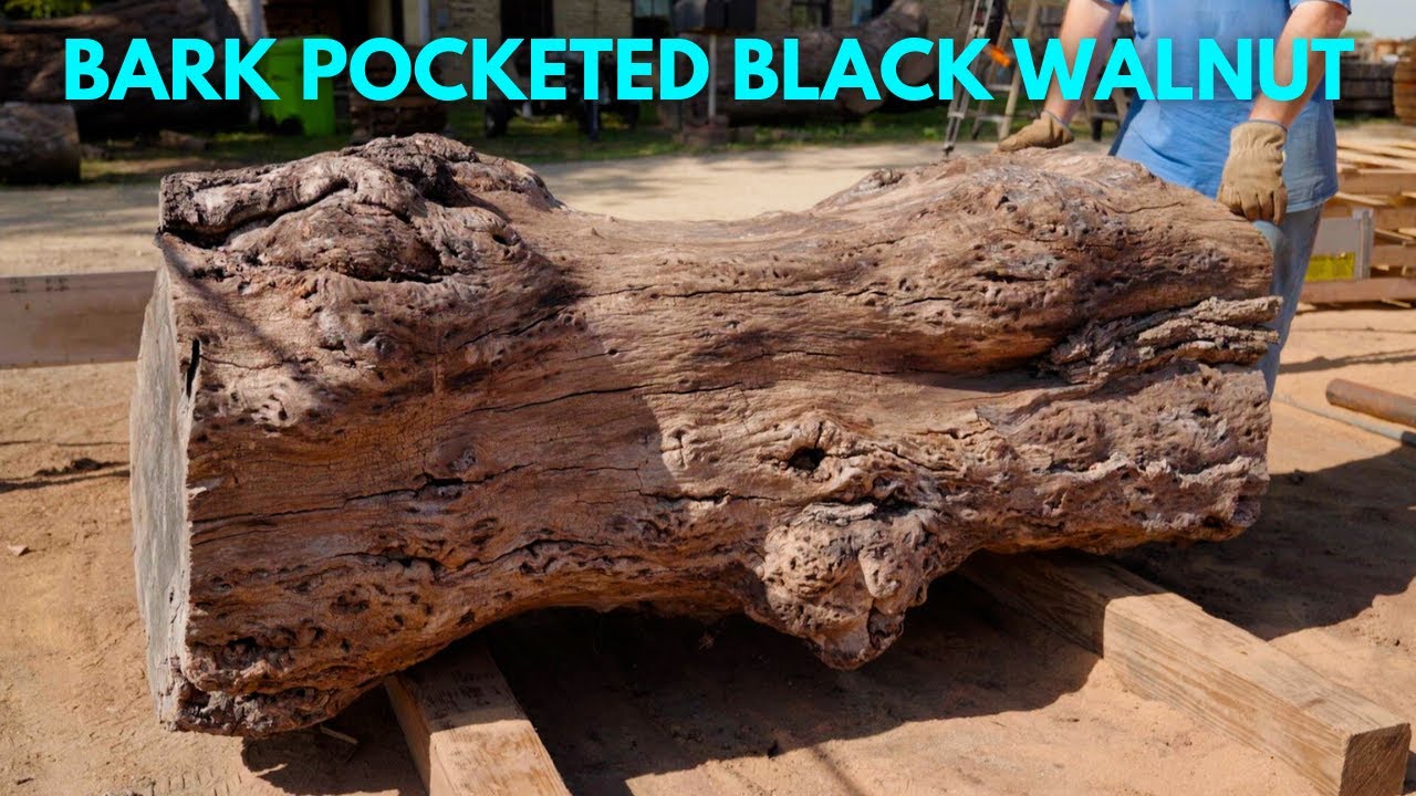 #65 Bark Pocketed Black Walnut