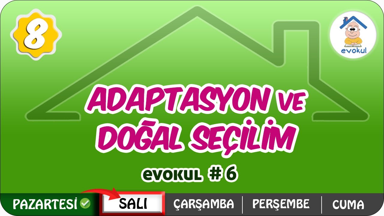 Adaptasyon ve Doğal Se&ccedil;ilim  | 8.Sınıf #uzaktanegitim #evokul Kampı