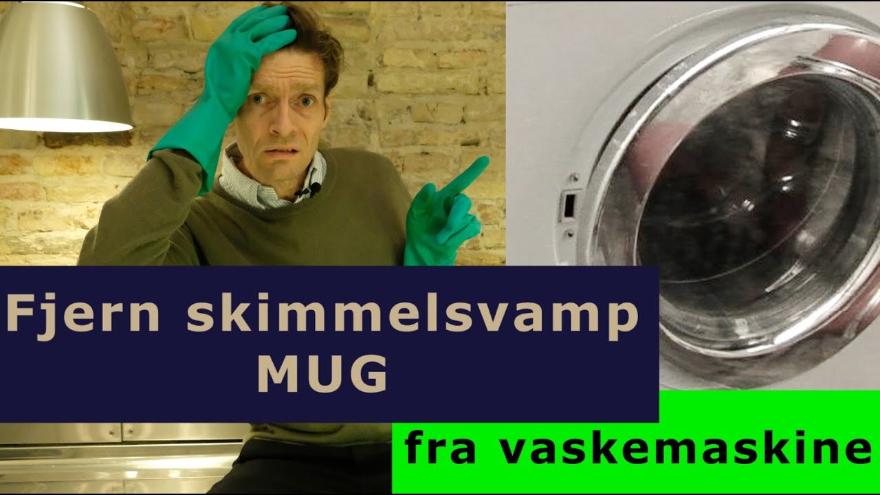 Fjern skimmelsvamp (mug) fra gummikanten på vaskemaskinen af rengøringsekspert Michael René