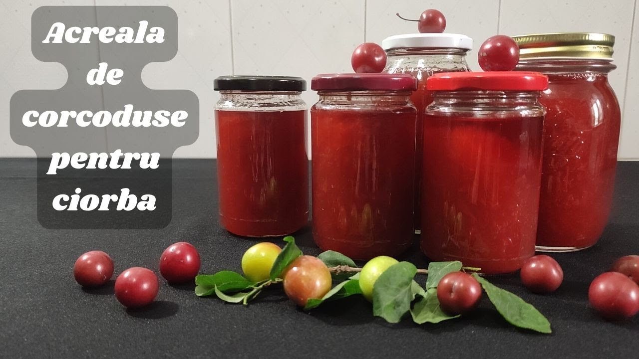 Acreala de corcoduse pentru ciorbe - simplu si rapid - bun & delicios
