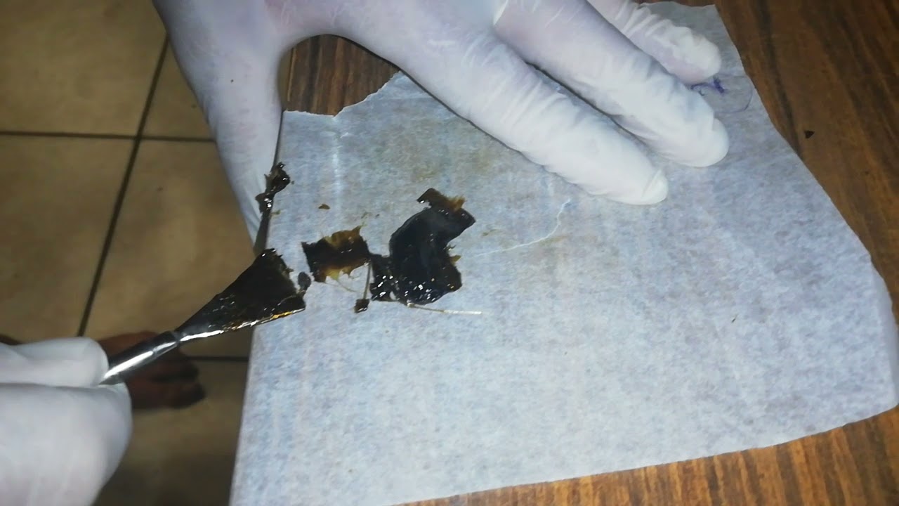 Rosin collection after pressing from 37-90 micron ice water bubble hash.