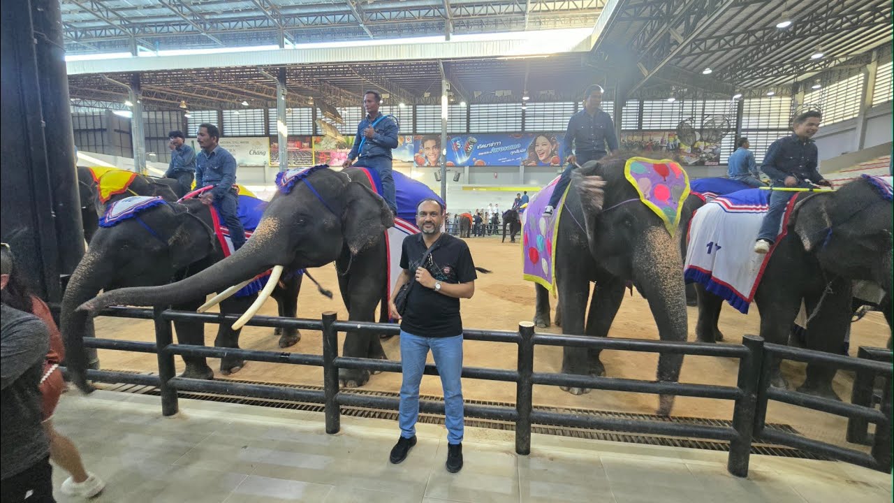 Elephant show, nongnooch garden, pattaya, thailand #thailand #pattaya #elephant