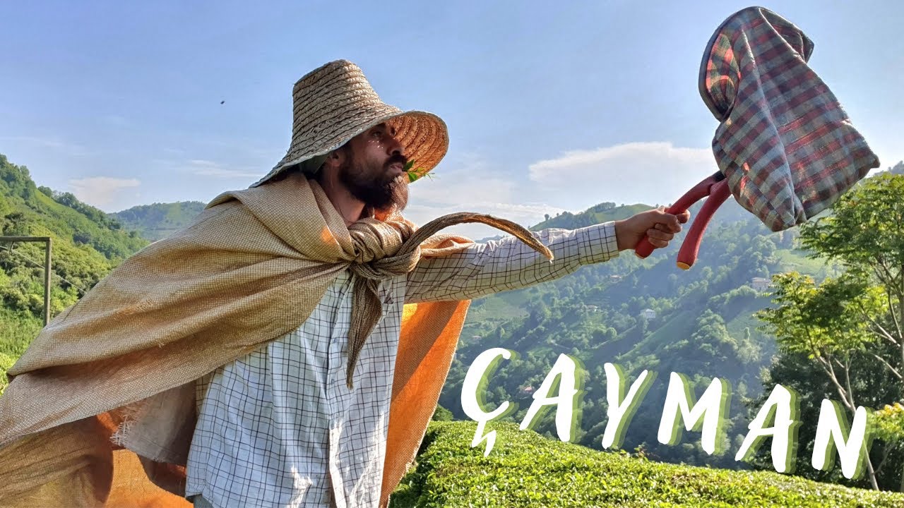 Bir gün boyunca ÇAY TOPLAMAK! (Kilosu 7 TL) / Rize
