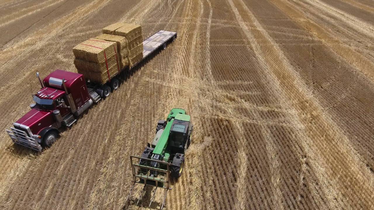 loading a truck with square bales Phantom 4 footage