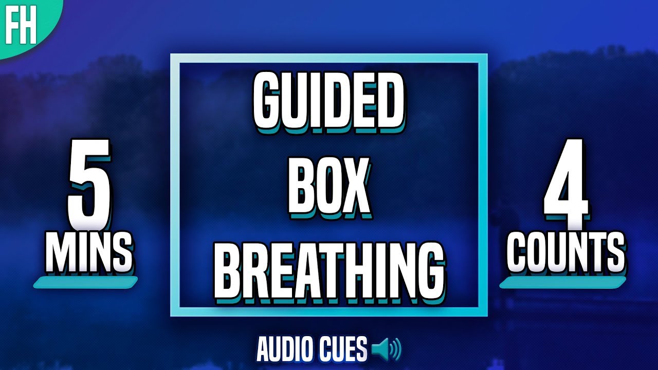 Guided Box Breathing - 5 Minute Meditation (4-4-4-4)