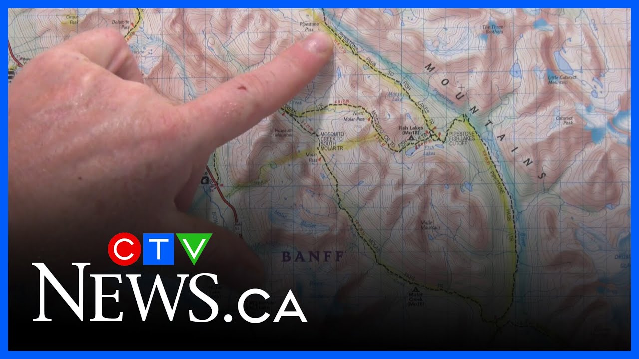 More than 2,000 km hiked in search of bison herd
