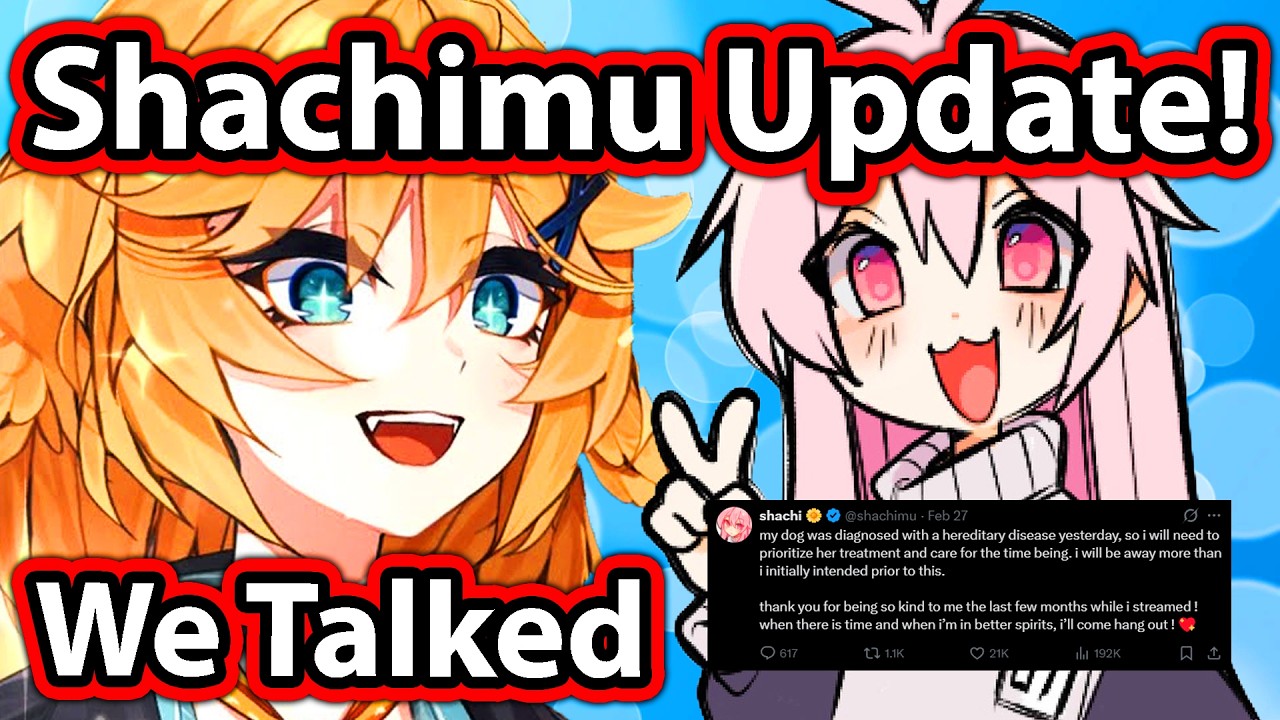 Dokibird Gives an Update on Shachimu: