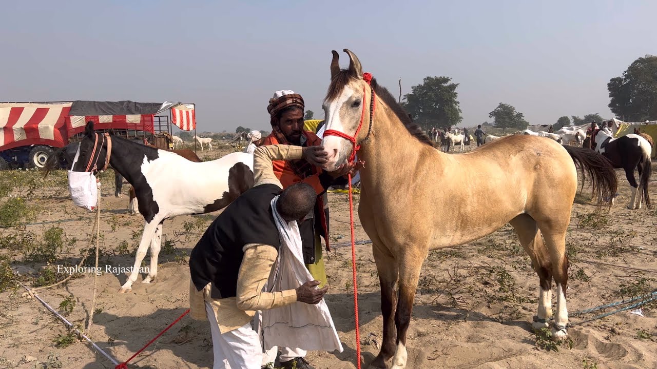 सोरों मेले में आई माधुरी दीक्षित अपनी ख़ूबसूरती दिखाने