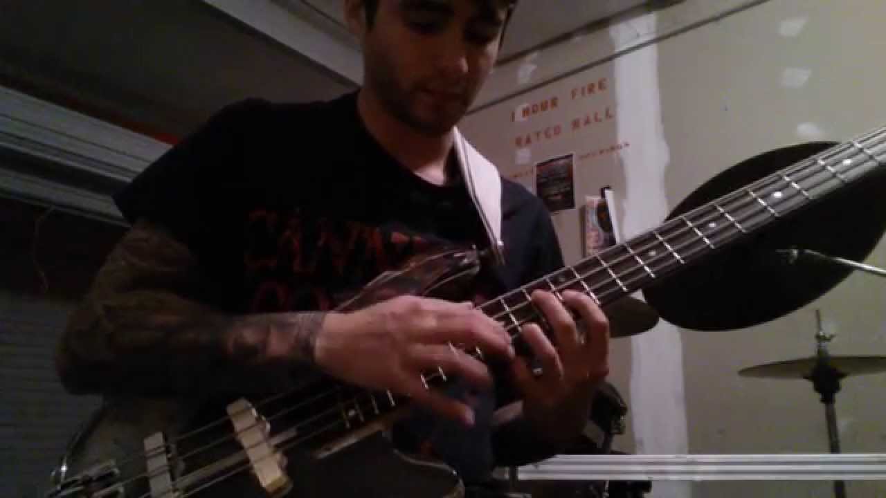 EMG/MEC Mix/Combination Bass Pickup Review