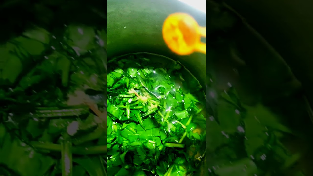 palak mung dal #cookingrecipes #so yummy 🤤