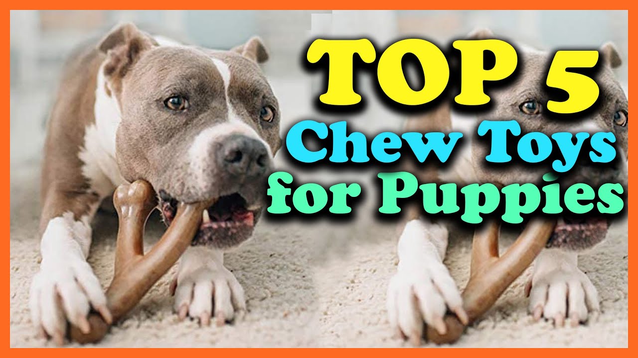 ✅Top 5 Best Chew Toys for Puppies of 2025