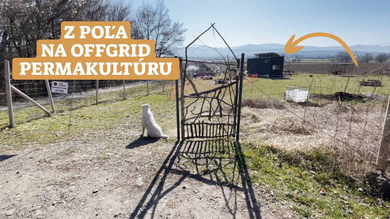 Prehliadka permakult&uacute;rnej offgrid z&aacute;hrady po 2 rokoch: &Uacute;spechy, v&yacute;zvy a in&scaron;pir&aacute;cia!