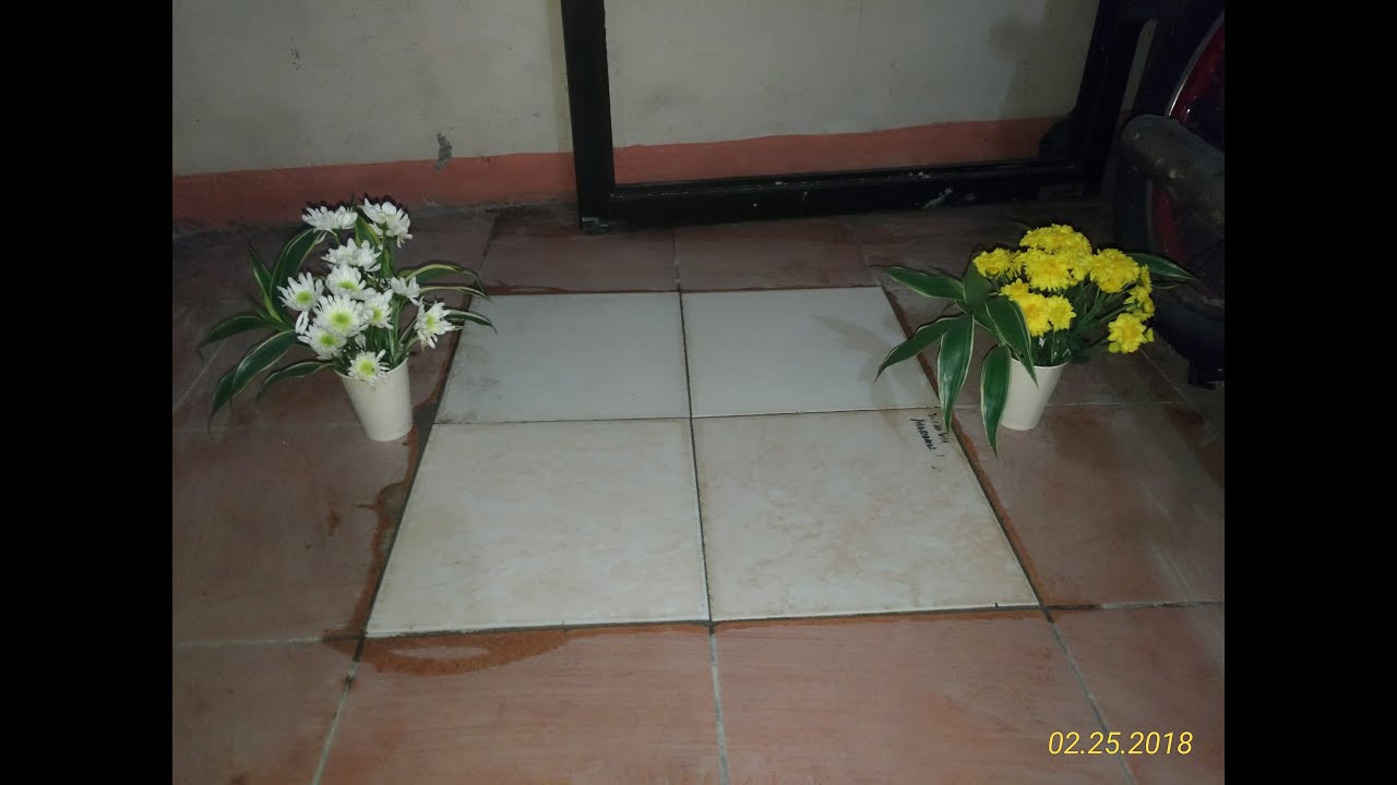 Our Shitzu Dog's Burial at Home Part 3/3