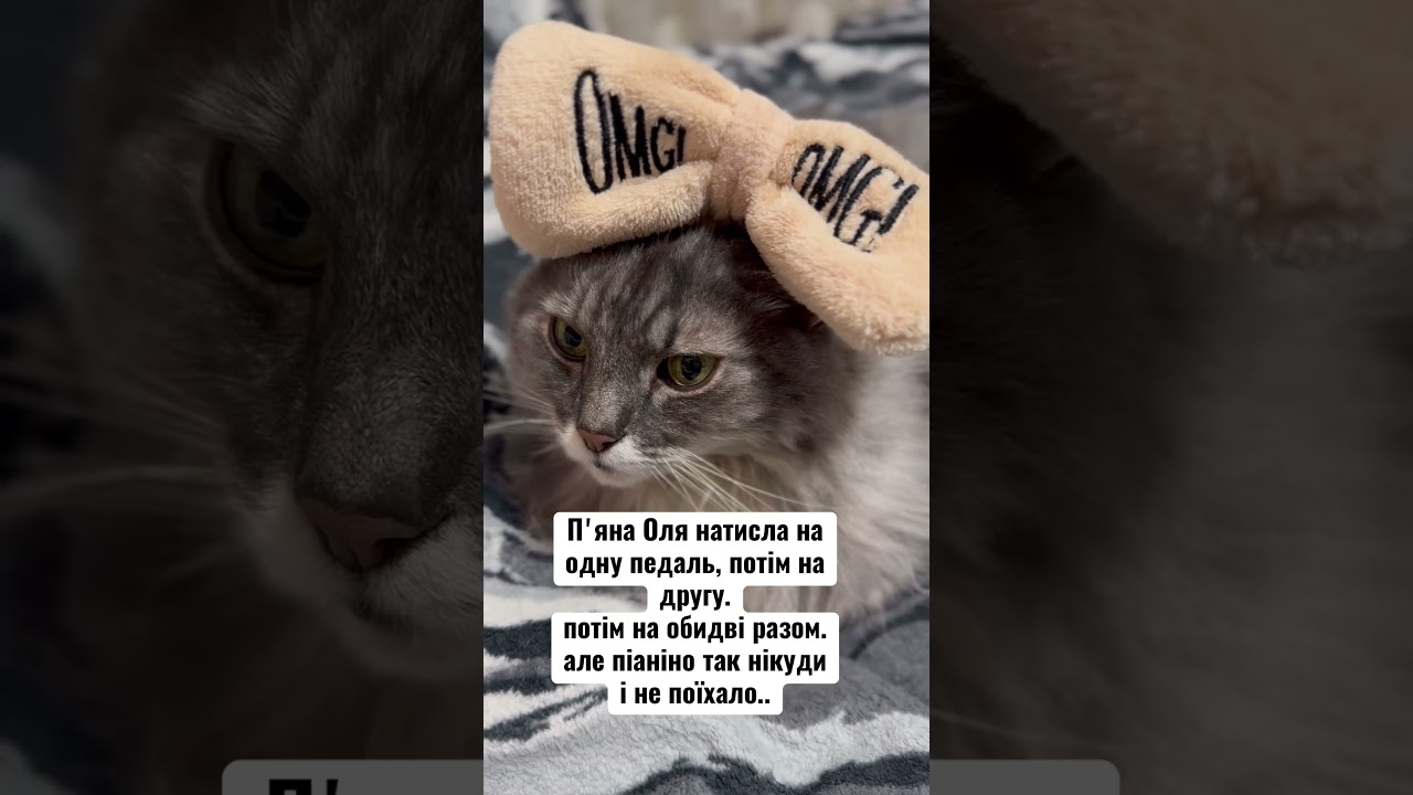 Трохи перебрала