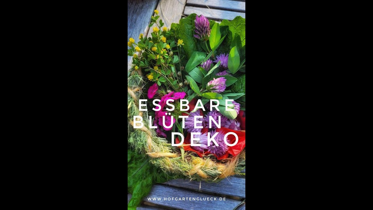 Essbare Bl&uuml;ten im Juni I Essbare Salatdeko I Wildpflanzenbl&uuml;ten zum Naschen I Wildkr&auml;uter Rezepte