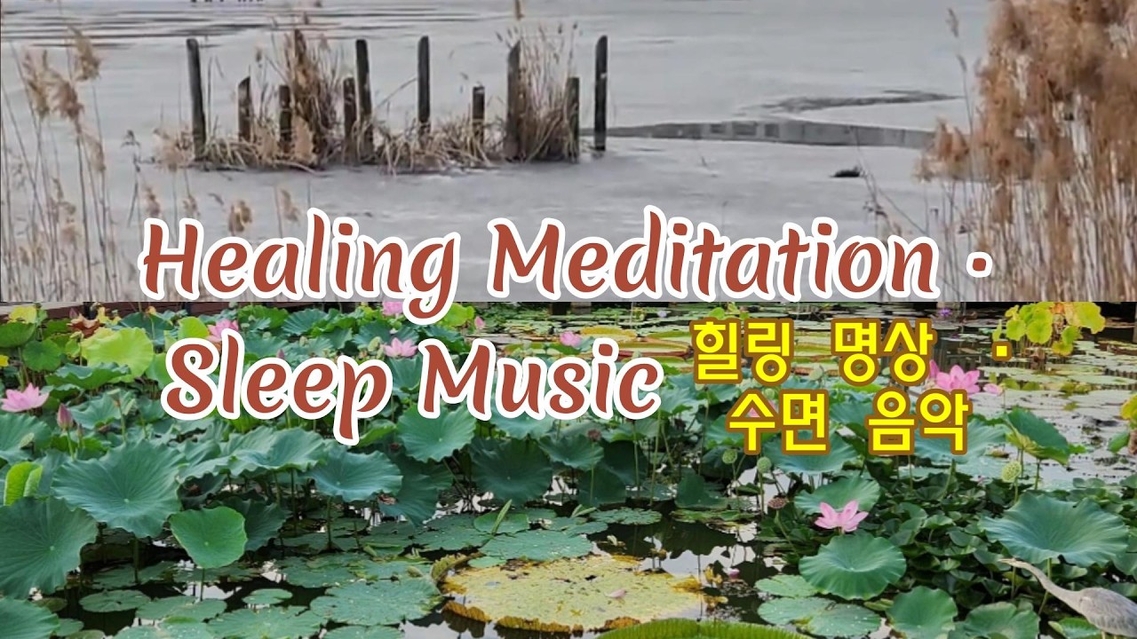 Healing Meditation · Sleep Music | Lotus & Water Lilies Serenity|힐링 명상 · 수면 음악 | 연꽃과 수련의 고요한 호수