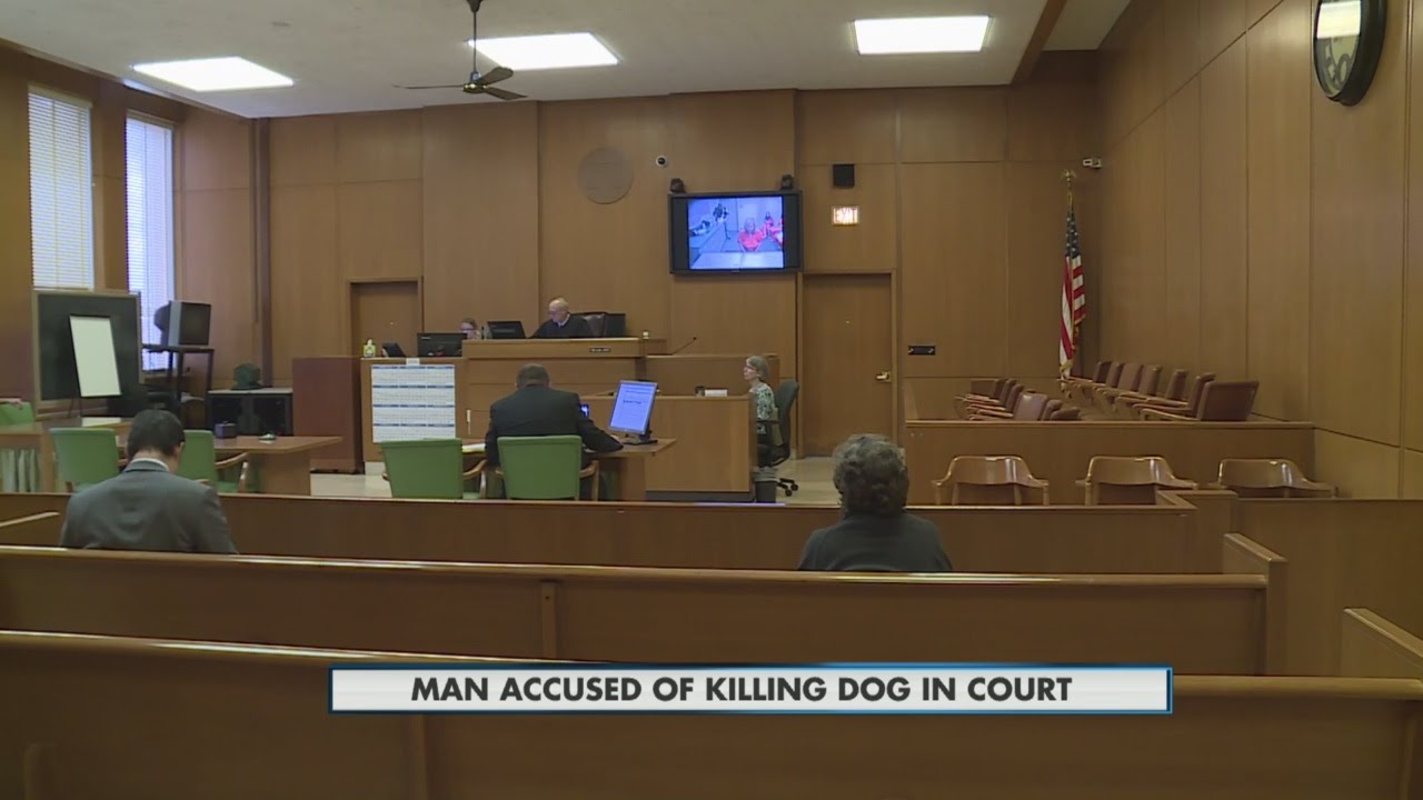 Man accused of dog poisoning